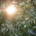 ���� ��������, �����-���������, 74 ���� - ��������� 12 ��� 2013 � ������ ���� ����������