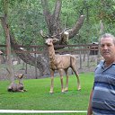 ���� ��������, ������-��-����, 61 ��� - ��������� 1 ������� 2013 � ������ ���� ����������