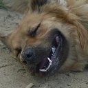 ���� ������, �����-���������, 41 ��� - ��������� 31 ����� 2012 � ������ �������