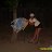 ���� �����, ������, 38 ��� - ��������� 1 ������ 2010