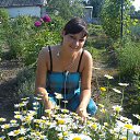 ���� �����, �����������, 38 ��� - ��������� 4 ���� 2013