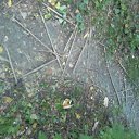 ���� ������, ������, 64 ���� - ��������� 21 ������ 2012 � ������ �������