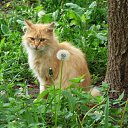  ,  -  3  2010    ,, ۻ