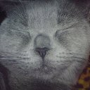 ���� �����, �������, 28 ��� - ��������� 21 ������� 2010 � ������ �������� ��� ���