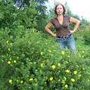  , -, 70  -  28  2012    