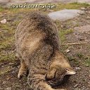  Aleks.,  -  11  2013