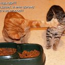 ���� ~Ann&ramosh~, ���������� - ��������� 2 ������� 2009 � ������ ���������