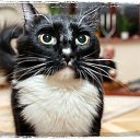 ���� ��������, ������ - ��������� 12 ������ 2010