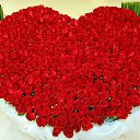 ���� ������, ������, 46 ��� - ��������� 13 ������� 2010