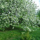 ���� �����, ������ ��������, 38 ��� - ��������� 10 ���� 2013