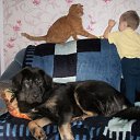 ���� ����, ���������, 49 ��� - ��������� 11 ���� 2013 � ������ ����� ��� ������������