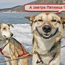 ���� Mazai(������� �� ��), �������, 48 ��� - ��������� 18 ���� 2011 � ������ ��������