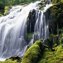 ���� ����, ���������, 26 ��� - ��������� 27 ������� 2010 � ������ ���� ����������