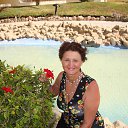  , -, 71  -  31  2013    2013