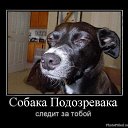 ���� ������, ������, 35 ��� - ��������� 23 ��� 2013 � ������ ���� ����������