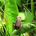 ���� Alexandr, ����������, 45 ��� - ��������� 16 ����� 2012 � ������ ���� ����������