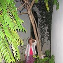  , , 65  -  14  2012      ߻