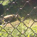 ���� ������, ���������, 41 ��� - ��������� 13 ���� 2011 � ������ ��������� �� ������