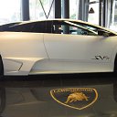 ���� ������, �����, 51 ��� - ��������� 13 ������ 2013 � ������ ���� ����������