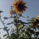  ,  -  14  2011   RoadKing