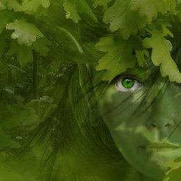 ����, �������, 62 ����