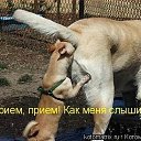 ���� ����, ������, 48 ��� - ��������� 8 ���� 2011 � ������ ����