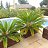 ���� ����, ���, 67 ��� - ��������� 19 ��� 2013