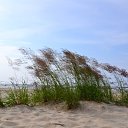 ���� �����, ����� - ��������� 29 ������ 2013 � ������ ����� �� ������� ���˻