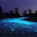 ���� ������, �����, 47 ��� - ��������� 2 ������� 2010 � ������ ����� � ����