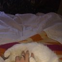 ���� ���������, ������ �������� - ��������� 26 ���� 2013 � ������ ������)))�