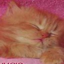 ���� An@el, �����, 41 ��� - ��������� 23 ������ 2012