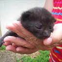 ���� ����, ����������� - ��������� 7 ������ 2010 � ������ �������