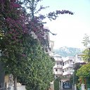 ���� �����, �����-���������, 59 ��� - ��������� 31 ������� 2012 � ������ ���� ����������