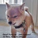 ���� �����, �����������, 45 ��� - ��������� 22 ����� 2010 � ������ ������