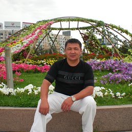 ���� �����, �����, 52 ���� - ��������� 29 ���� 2012