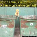 ���� ����, ������ ��������, 51 ��� - ��������� 26 ����� 2013