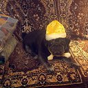 ���� ����, ���������, 59 ��� - ��������� 21 ������ 2012 � ������ ���� ����������