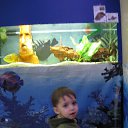 ���� �������, ������������, 47 ��� - ��������� 12 ������� 2012