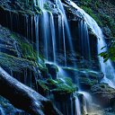 ���� �������, ��������, 57 ��� - ��������� 1 ��� 2010 � ������ ������� ��������