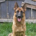 ���� ������, ����������, 63 ���� - ��������� 9 ���� 2013