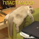 ���� ��������, �������� - ��������� 11 ����� 2012 � ������ �������� ��������