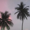 ���� ������, ������ ��������, 54 ���� - ��������� 5 ������ 2012 � ������ �������