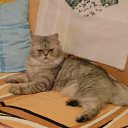 ���� Svetlanas, ���������, 47 ��� - ��������� 7 ���� 2010 � ������ ���� �������