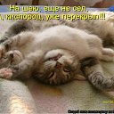 ���� ��������, �������� - ��������� 11 ����� 2012 � ������ �������� ��������
