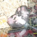 ���� ������ :3, ������, 23 ���� - ��������� 30 ������� 2010 � ������ ���� ����������