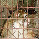 ����� ��� ���� ������ ......... ����������� �� ������� ���� ����������