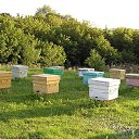 ���� �������, ������, 85 ��� - ��������� 11 ������� 2009 � ������ �������