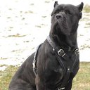 ���� ���������, ������� - ��������� 13 ������� 2010 � ������ �����