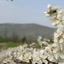 ���� ����, ����������� - ��������� 3 ������ 2012 � ������ �������