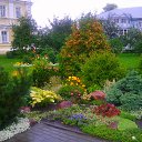 ���� ������, ������ ��������, 41 ��� - ��������� 6 ������ 2011 � ������ ��������